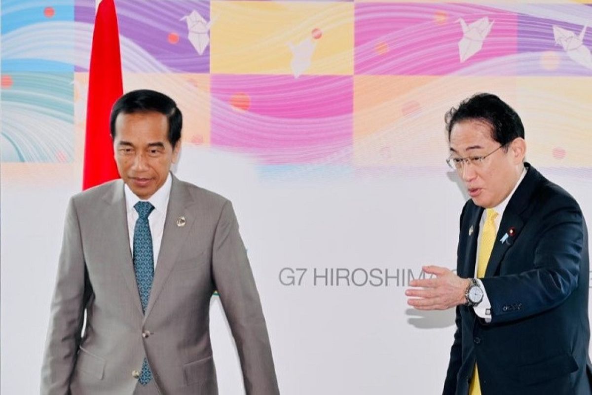 Presiden Jokowi dan PM Jepang bahas peningkatan kemitraan kedua negara