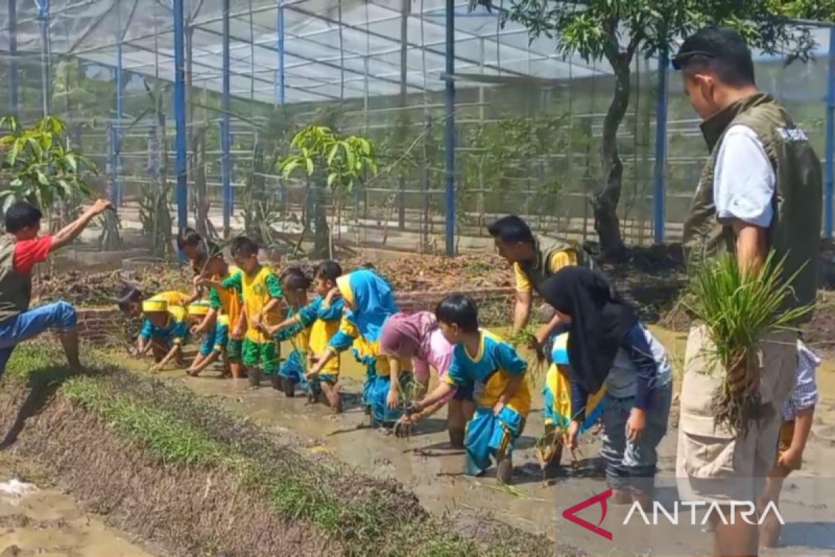 Nusantara Edupark jadi tempat wisata edukasi pertanian anak di Madiun
