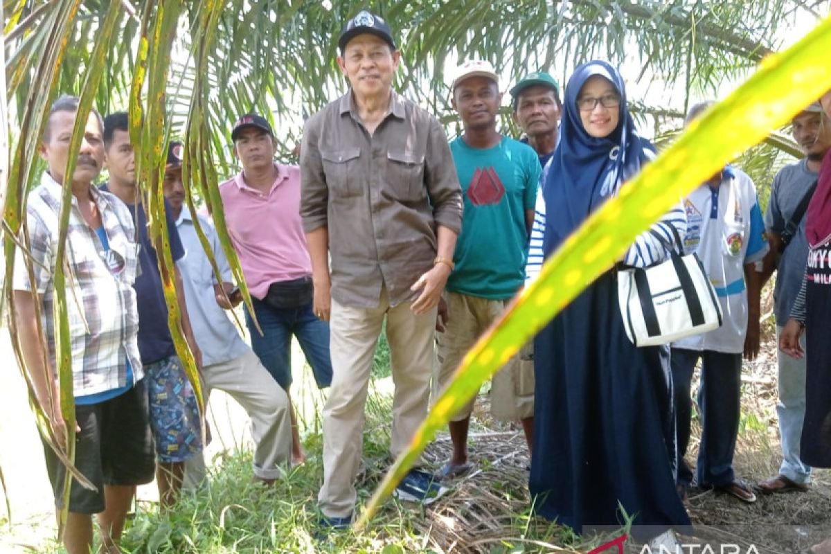 Tri Astuti: Petani kehilangan ratusan ton produksi padi selama empat tahun paceklik