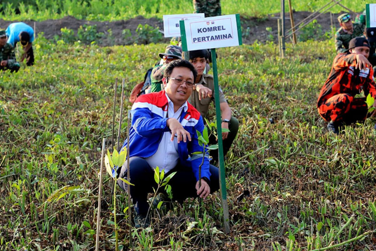 Kilang Cilacap ikuti agenda Penanaman Mangrove Nasional Serentak