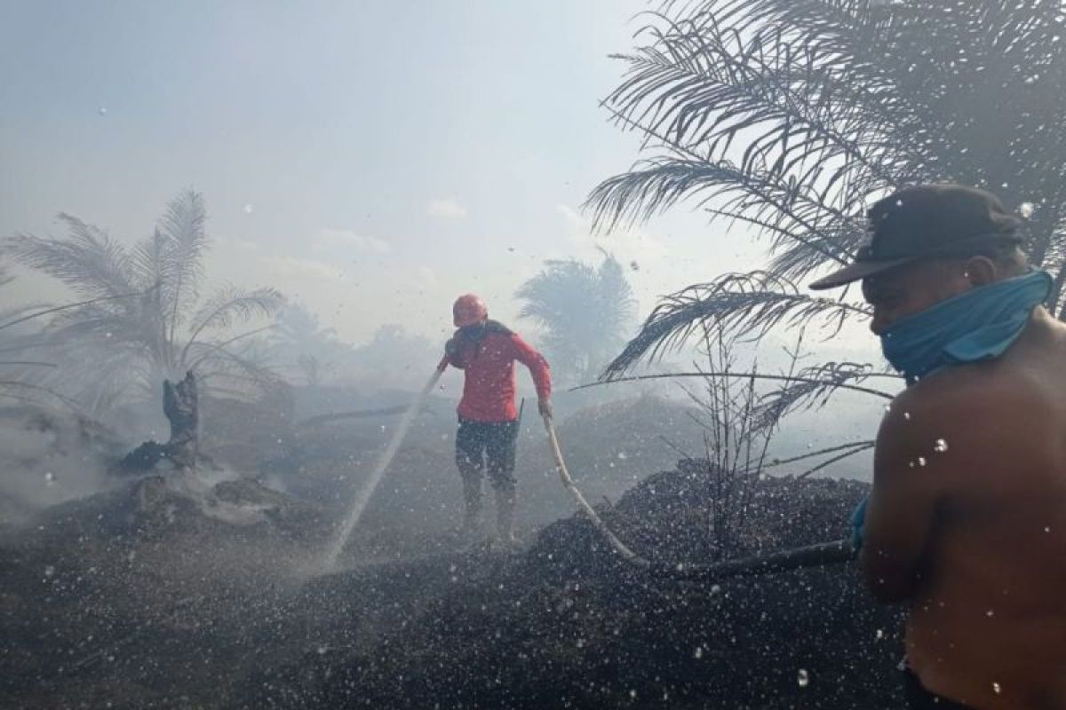 Polisi: 50 hektare lahan di Bengkalis terbakar