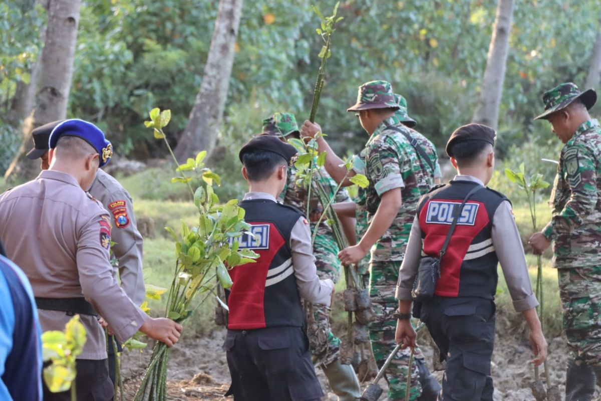 Ratusan personel TNI/Polri tanam mangrove di pesisir Trenggalek