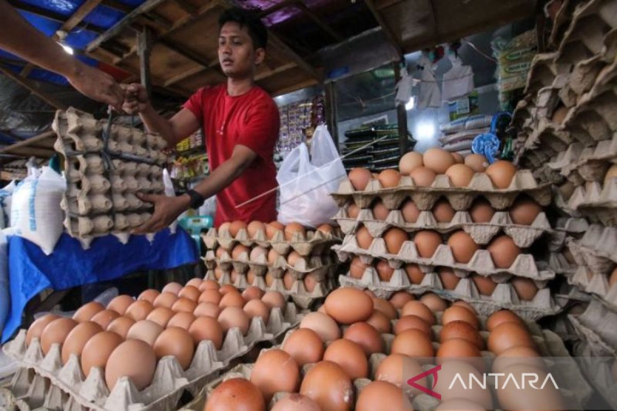Pemkab Nagan Raya catat kenaikan harga telur ayam Rp800 per kilogram, berikut ini harganya