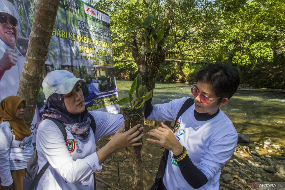 Kalsel benahi infrastruktur desa penghasil Anggrek di HSS