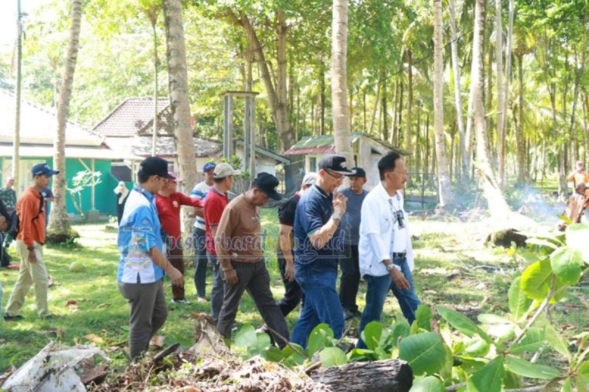 Bupati Pesisir Barat tinjau lokasi pelaku UMKM untuk gelaran "SWL Krui Pro QS 5000"