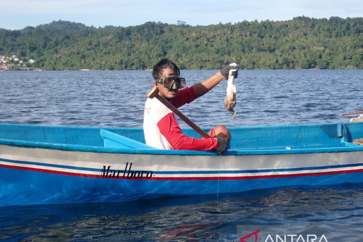 Sinergi pemerintah dan masyarakat dalam menjaga keanekaragaman hayati berkelanjutan