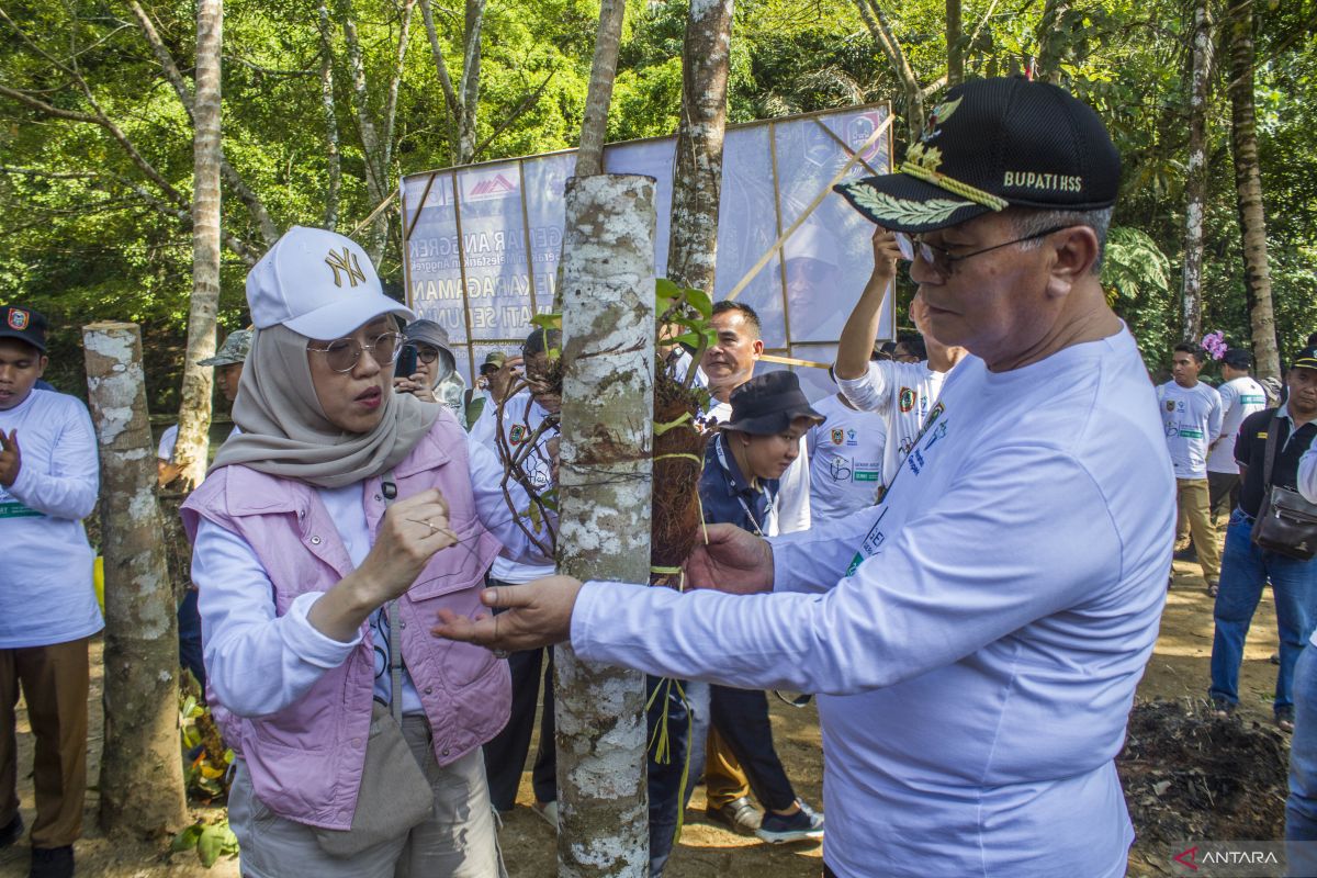 South Kalimantan improving access to orchid-producing village in HSS