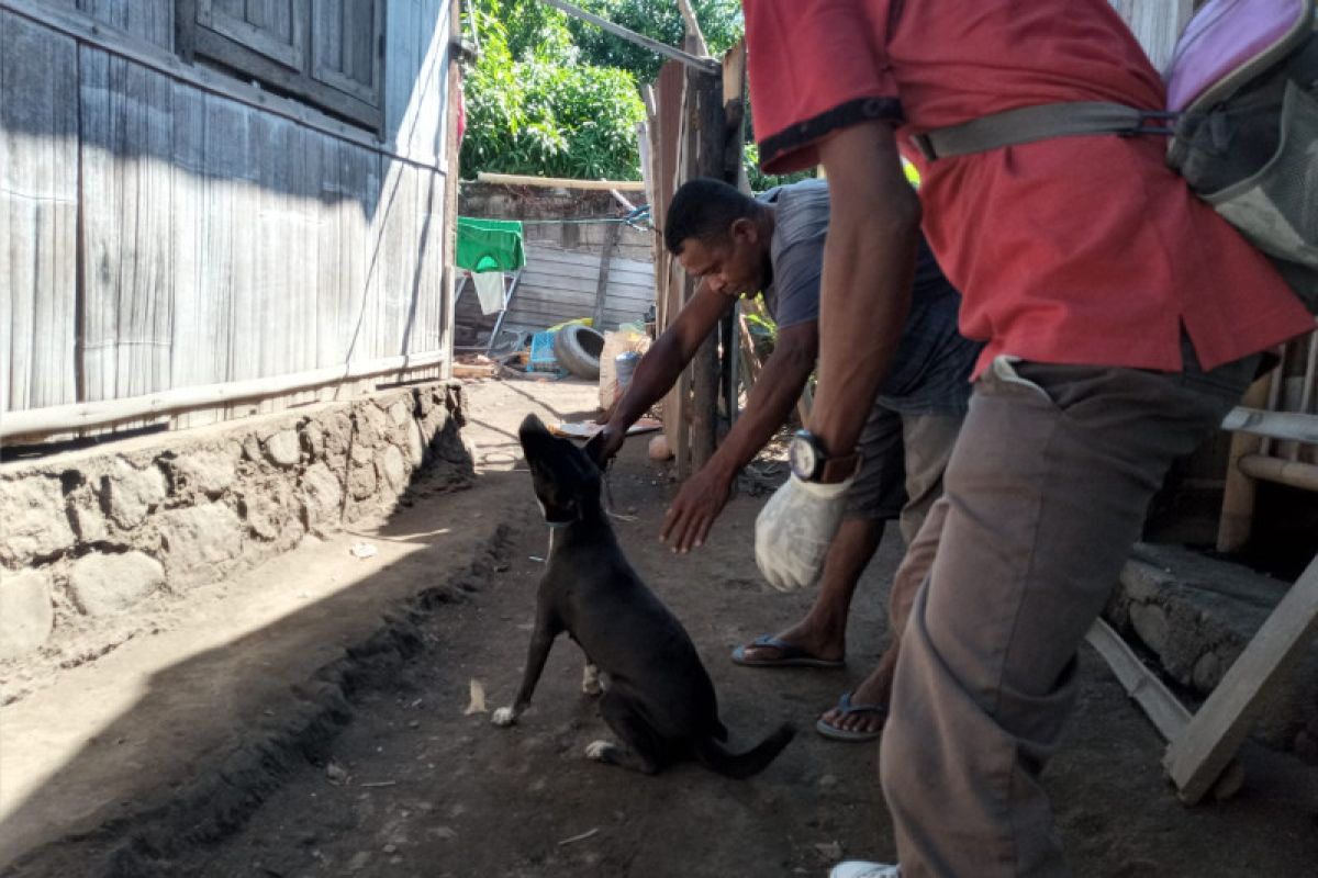 Pemkot Kupang bentuk pos terpadu penanganan rabies