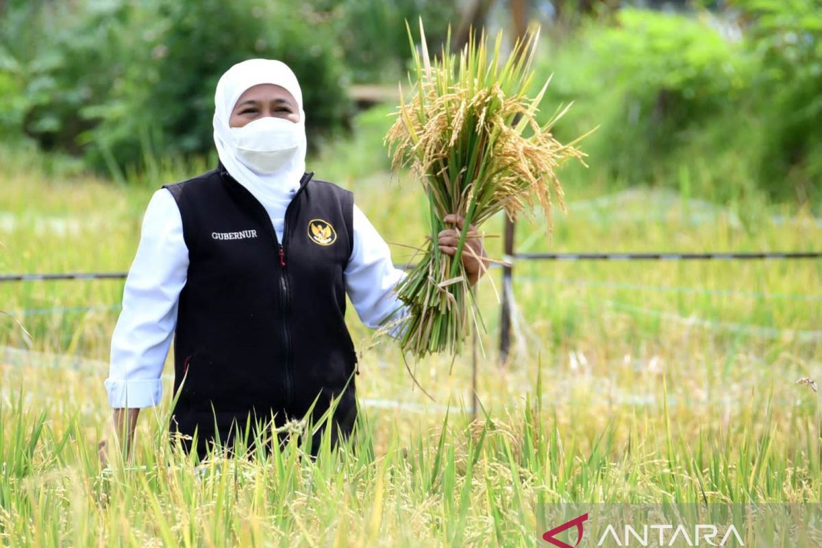Gubernur Khofifah ajak masyarakat sukseskan sensus pertanian 2023