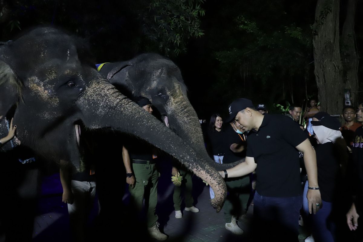 Surabaya Night Zoo inovasi layak diapresiasi