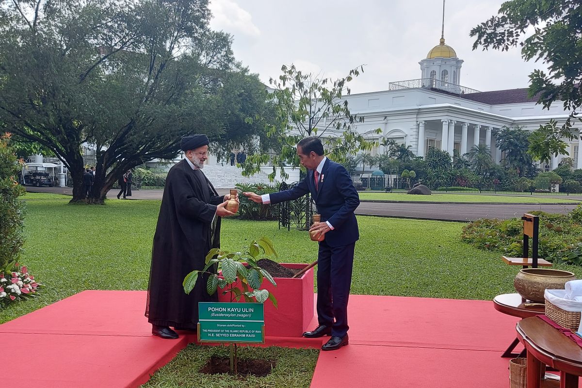 Jokowi menerima kunjungan kenegaraan Presiden Iran di Istana Bogor