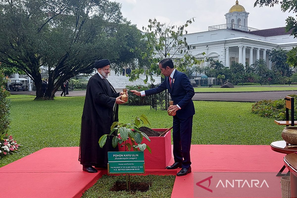 Jokowi terima kunjungan kenegaraan Presiden Iran di Istana Bogor