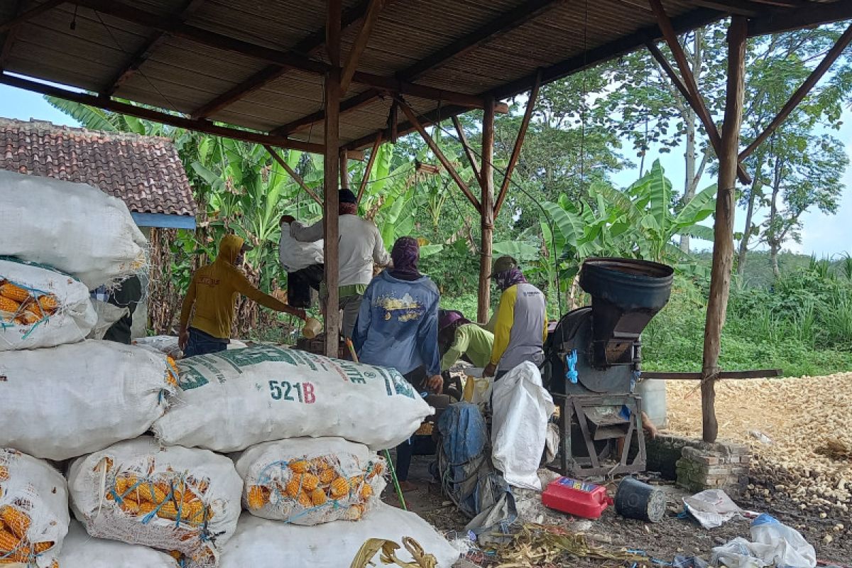 Bank Raya dukung produktivitas pelaku usaha di Lampung terus meningkat