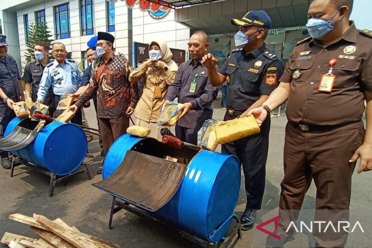 BNN Banten musnahkan ganja 56 kg