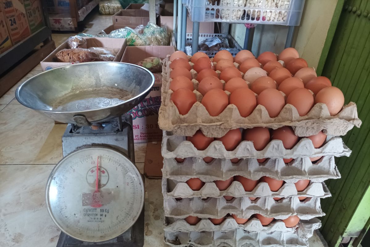 Wamendag akui terjadi fluktuasi harga telur
