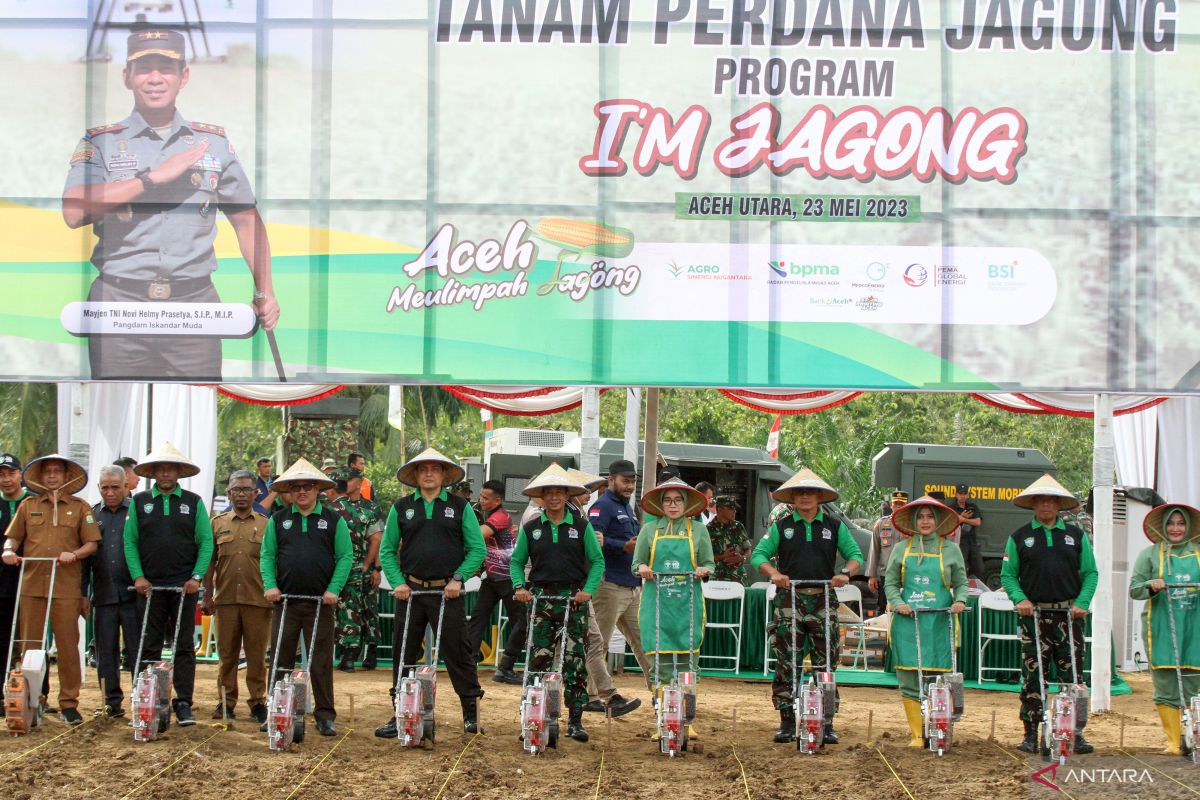 Penanaman Serentak Program I'M Jagong Pangdam IM di Aceh