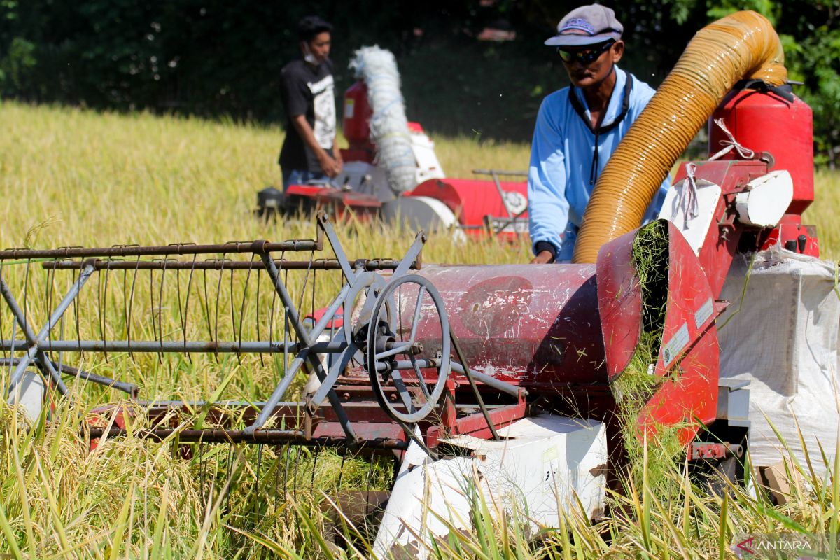 Khofifah dorong petani di Situbondo panen gunakan teknik mekanisasi