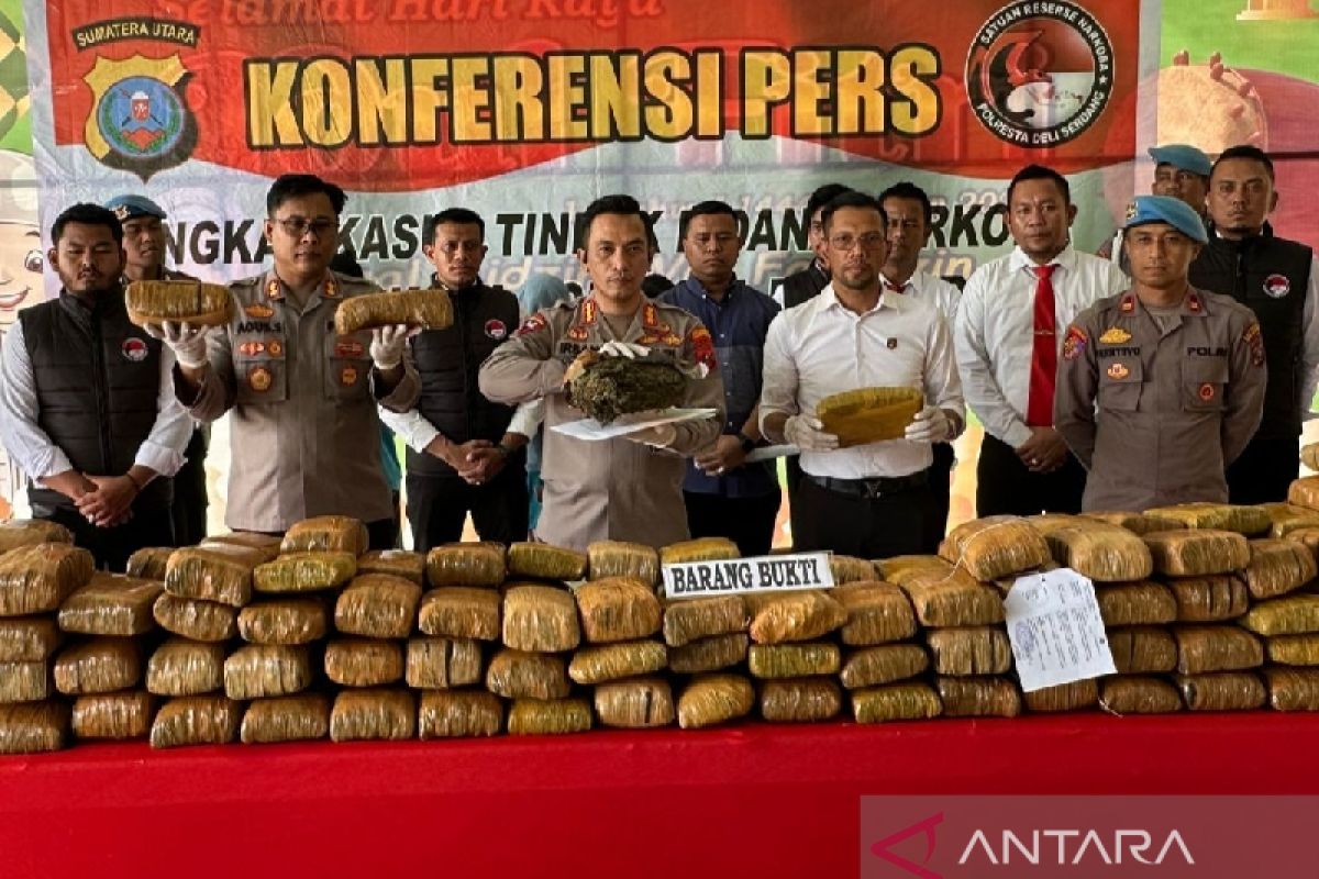 Polresta Deliserdang bongkar peredaraan ganja 173 kg jaringan Aceh