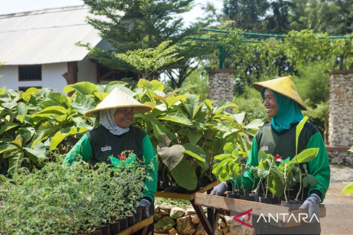 PT SIG tanam kaliandra merah untuk dekarbonisasi di mata rantai pasok