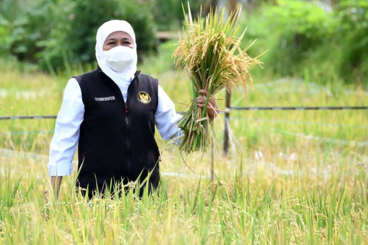 Gubernur Jatim ajak masyarakat sukseskan Sensus Pertanian 2023