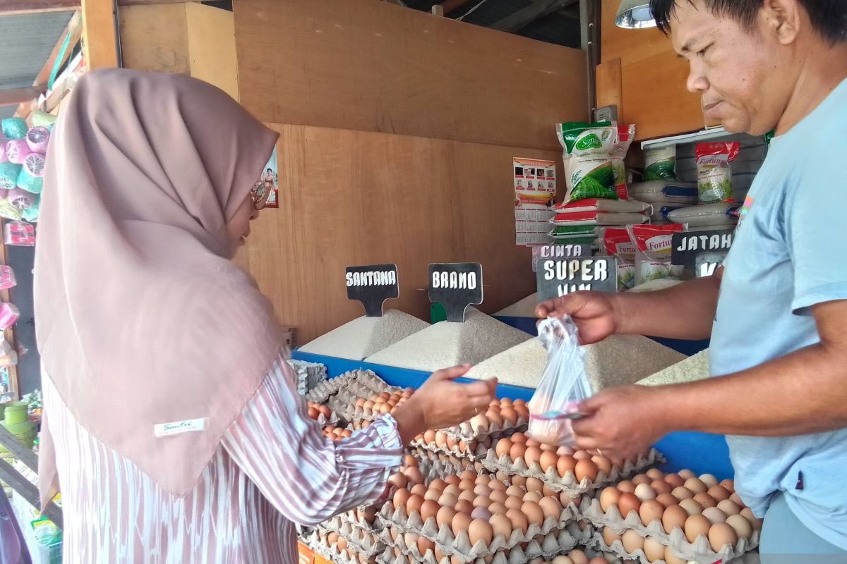 Disperindag Sulteng: Kenaikan harga telur karena produksi menurun