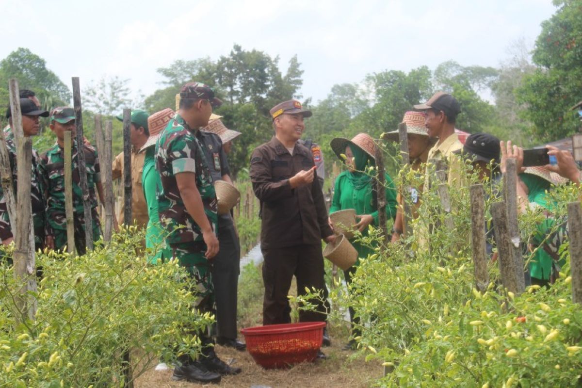 Kodim bersama Forkopimda lakukan pendampingan budidaya hortikultura