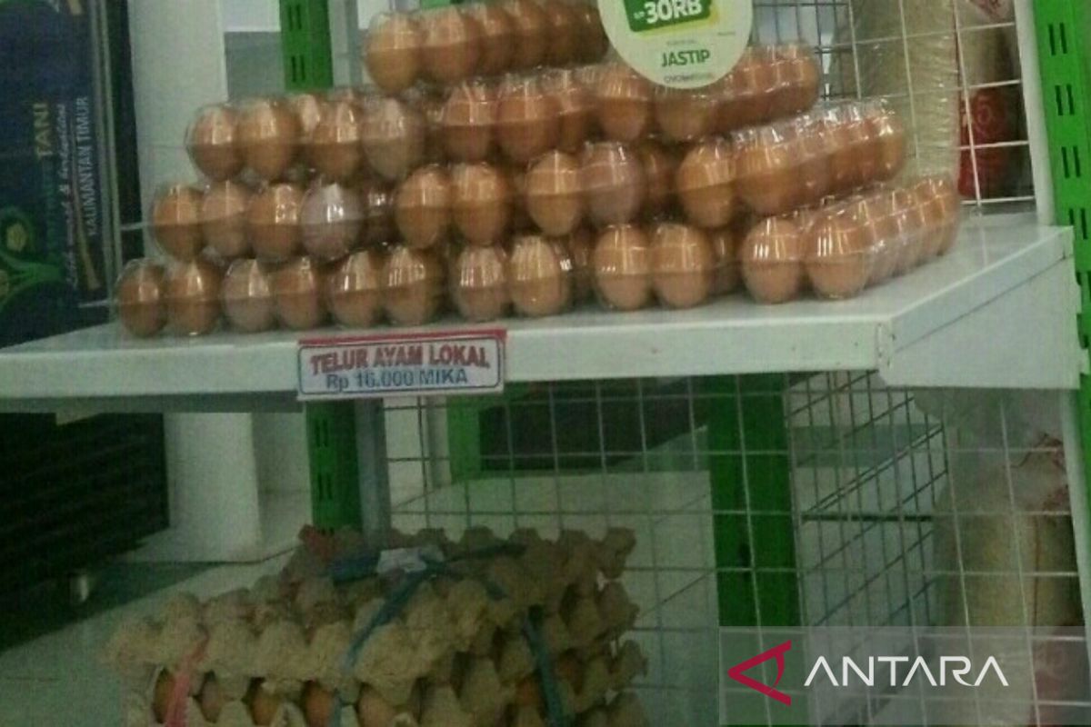 DPTPH: Stok telur ayam Kaltim cukup  meski harga naik