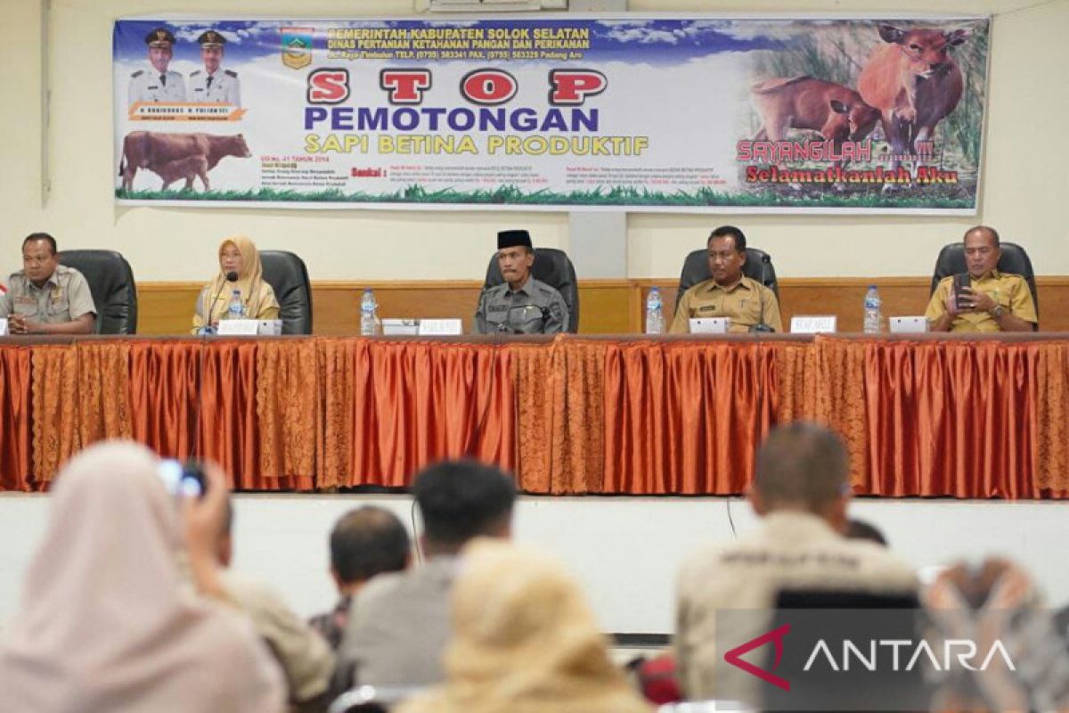 Solok Selatan larang sembelih sapi betina produktif untuk kurban