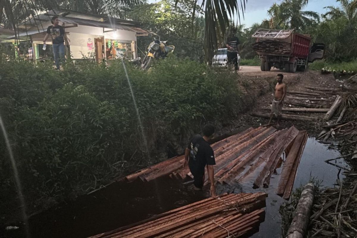 Ratusan kayu diduga hasil illegal logging diamankan polisi di Rohil