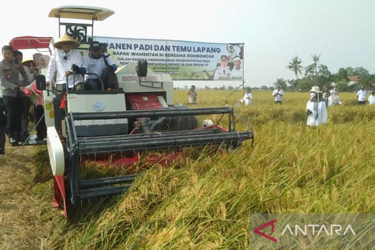 Wamentan dorong Karawang terus menjaga produksi dan produktivitas pertanian