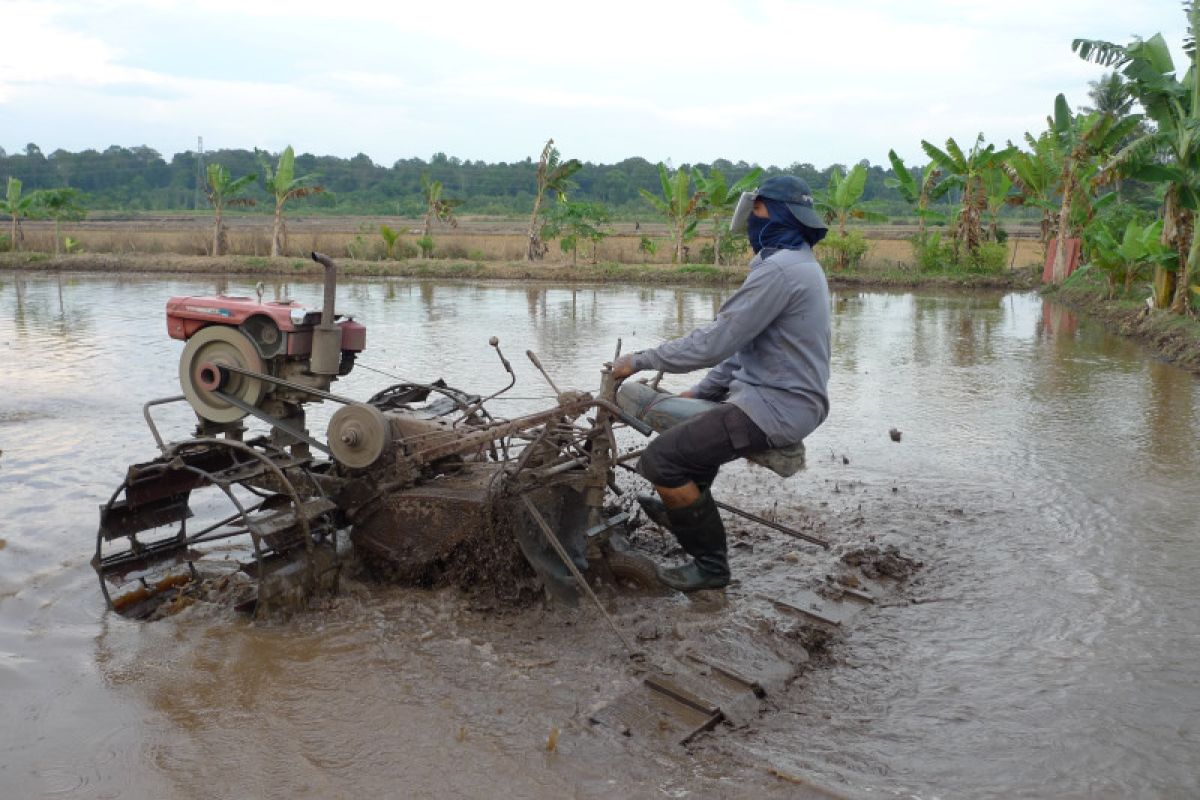 Dinas TPH Kalbar hadirkan Gerakan Serbu El Nino memitigasi kekeringan