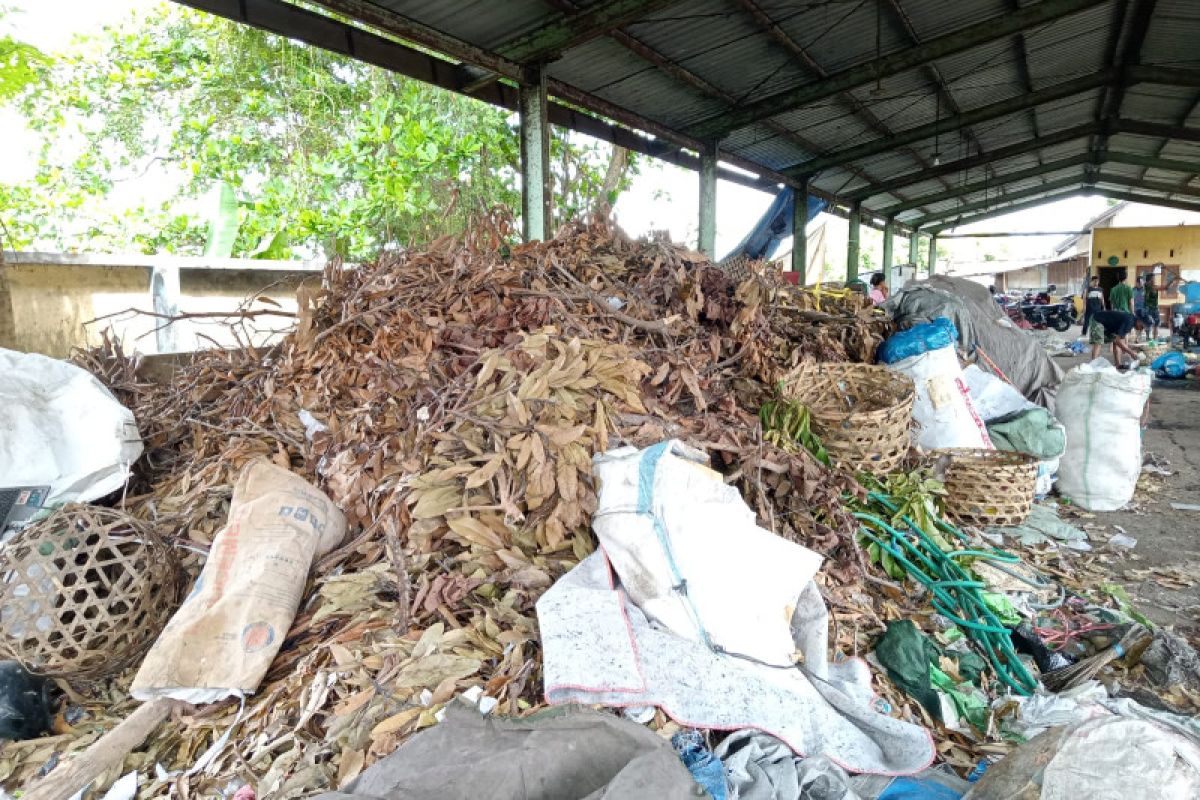 DLH Mataram segera jual sampah daun menjadi pembangkit listrik