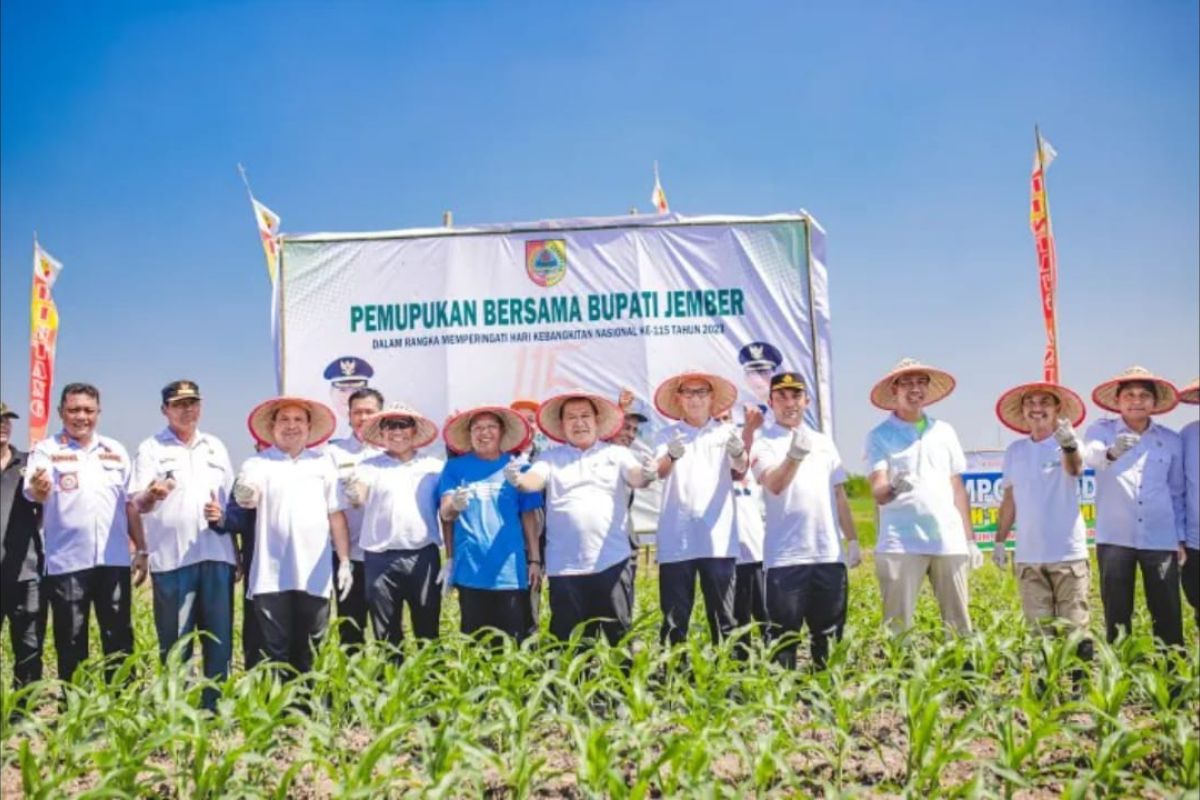 Bupati Hendy gerakkan pemupukan organik serentak di areal persawahan