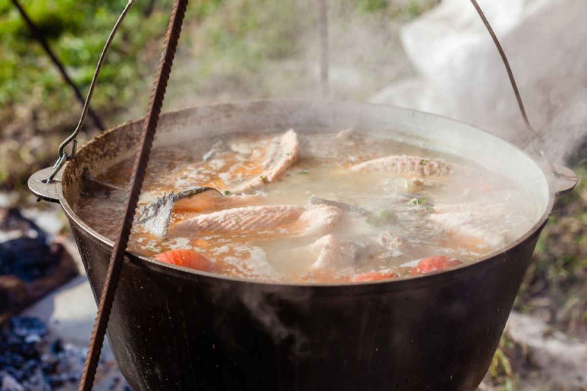 Resep kaldu ikan kaya rempah, bantu jaga imun tubuh