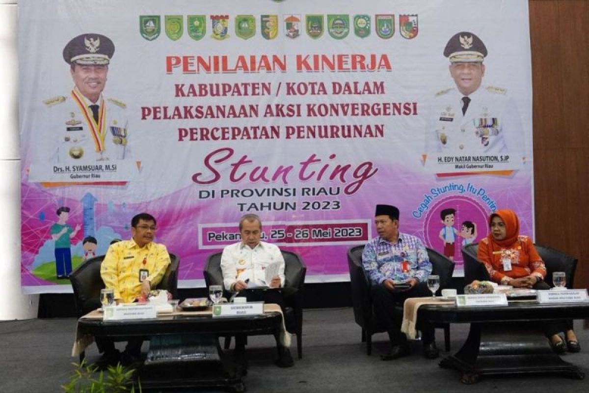 Syamsuar soroti tiga daerah dengan prevalensi stunting naik