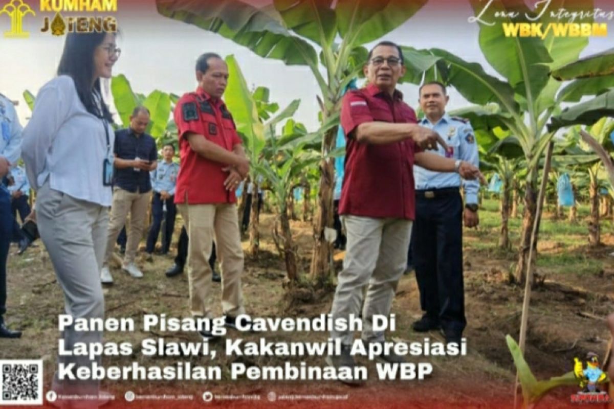 Kakanwil Kemenkumham Jateng apresiasi panen pisang di Lapas Slawi