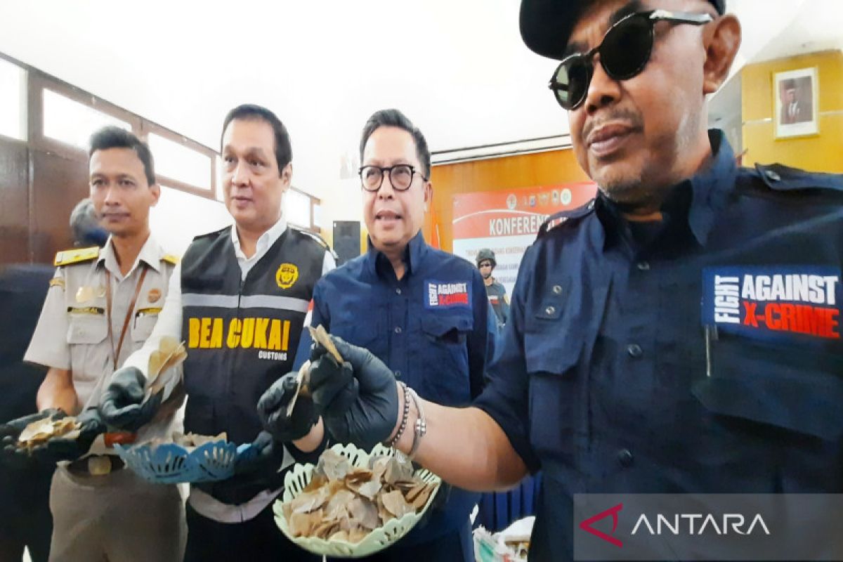 Sebanyak 360 kilogram sisik trenggiling di Banjarmasin disita