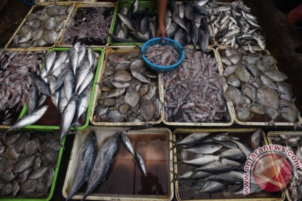Yogyakarta promotes fish consumption to prevent stunting