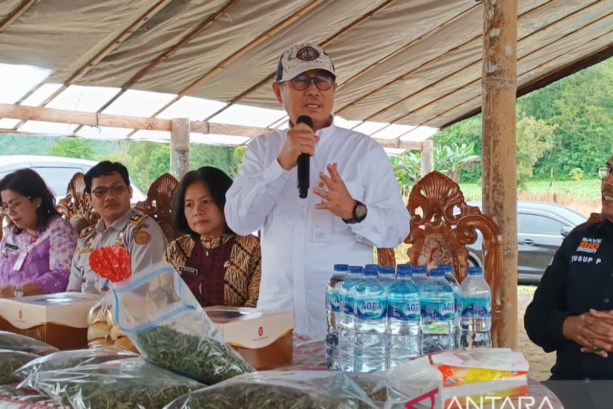 Tenaga Ahli Mentan: Minahasa potensial kembangkan komoditi Stevia