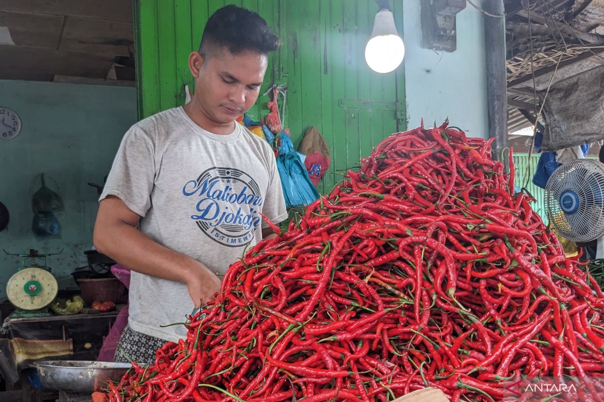 Pedagang: Harga cabai merah di Medan masih anjlok