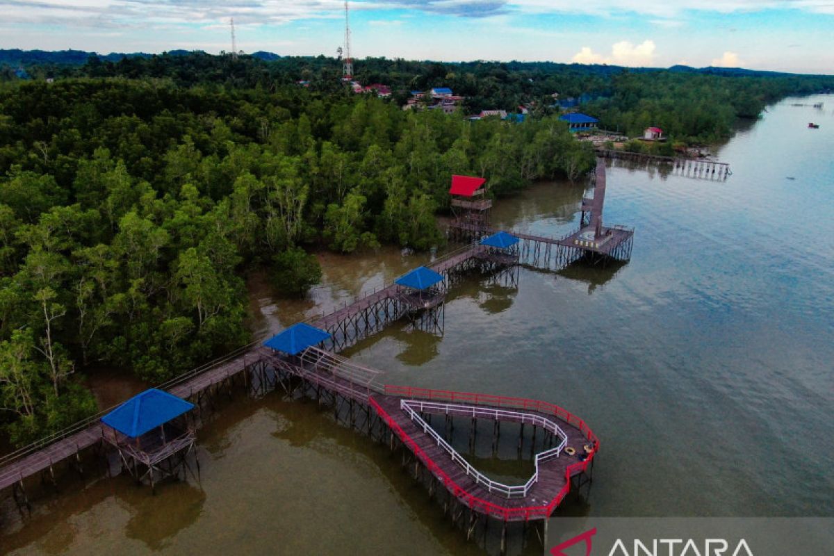 Digitalisasi konservasi mangrove di Sebatik Kalimantan Utara