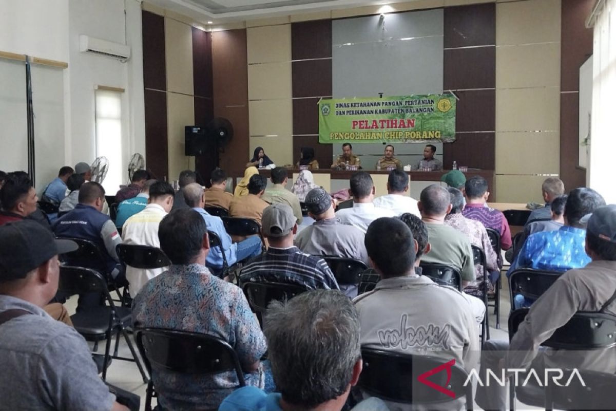 Pelatihan mengolah chip porang ditargetkan meningkatkan harga jual