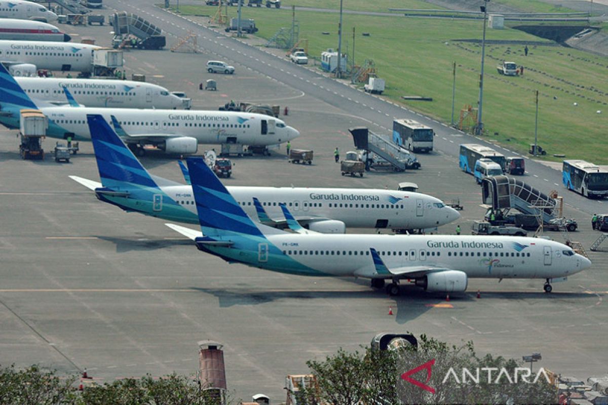 Menteri BUMN: Garuda Indonesia difokuskan layani penerbangan domestik