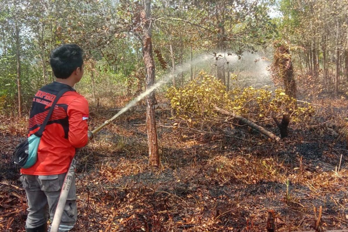 BPBD Mukomuko imbau warga tidak bakar lahan