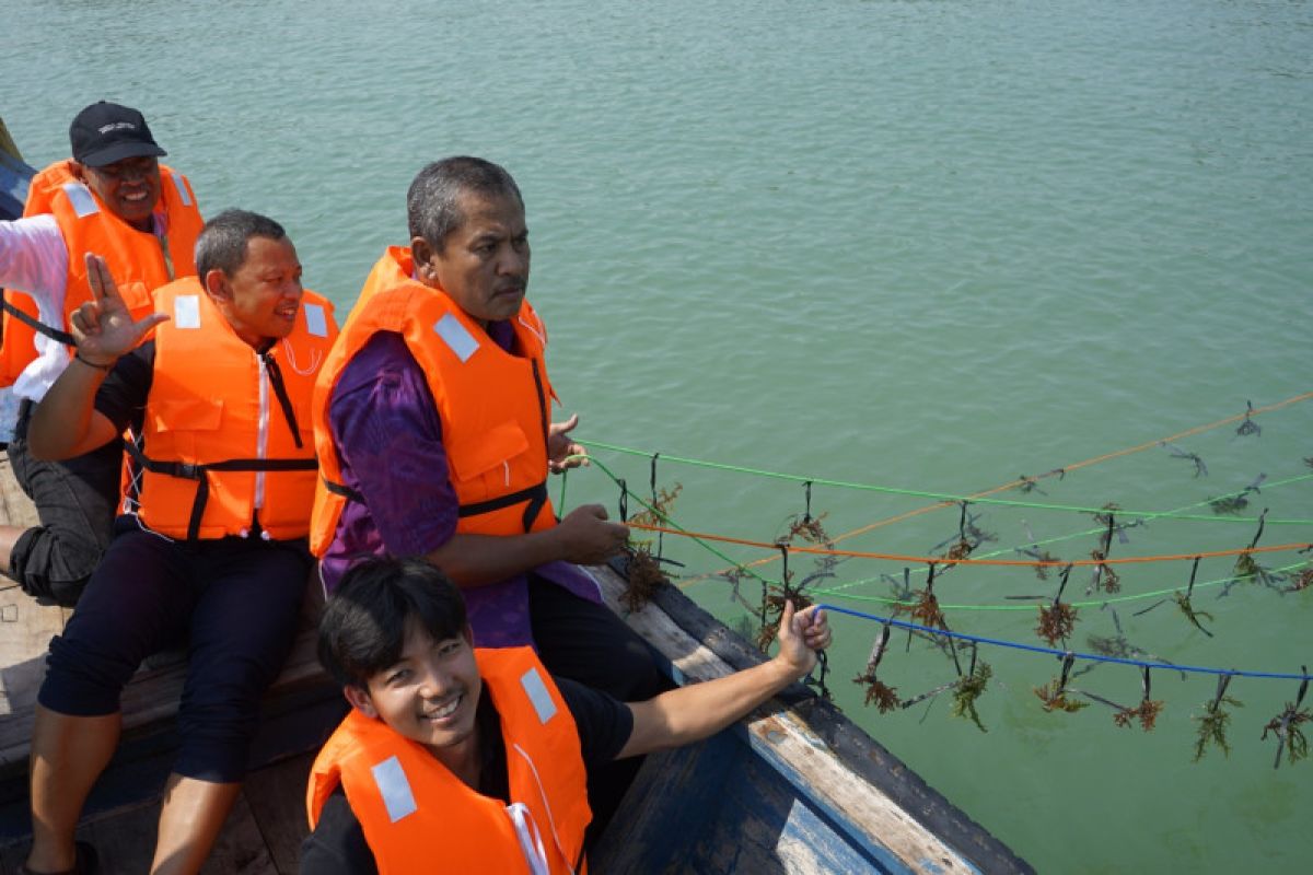 BBPBAP Jepara inisiasi usaha budi daya rumput laut berbasis masyarakat