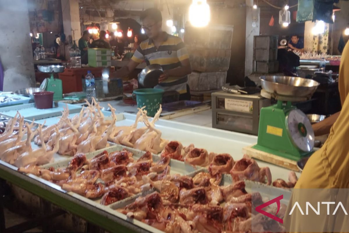 Harga daging ayam segar di Batam naik