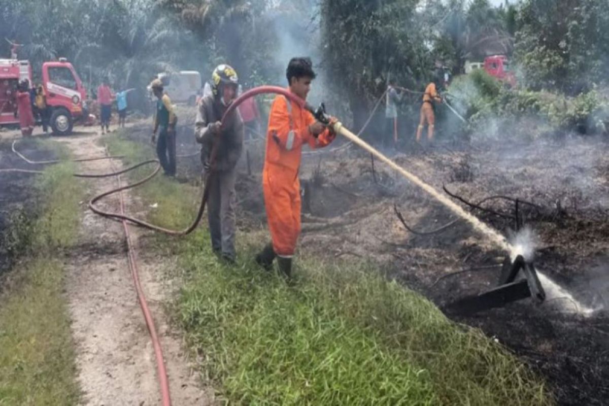 BPBD Kotawaringin Barat catat 28 kasus karhutla selama Januari-Mei