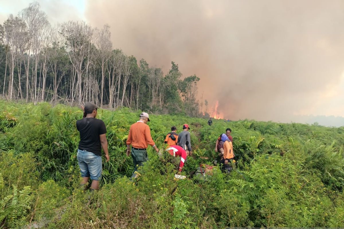 Balai PPIKHL wilayah Sumatera bantu pemadaman kebakaran lahan Pessel