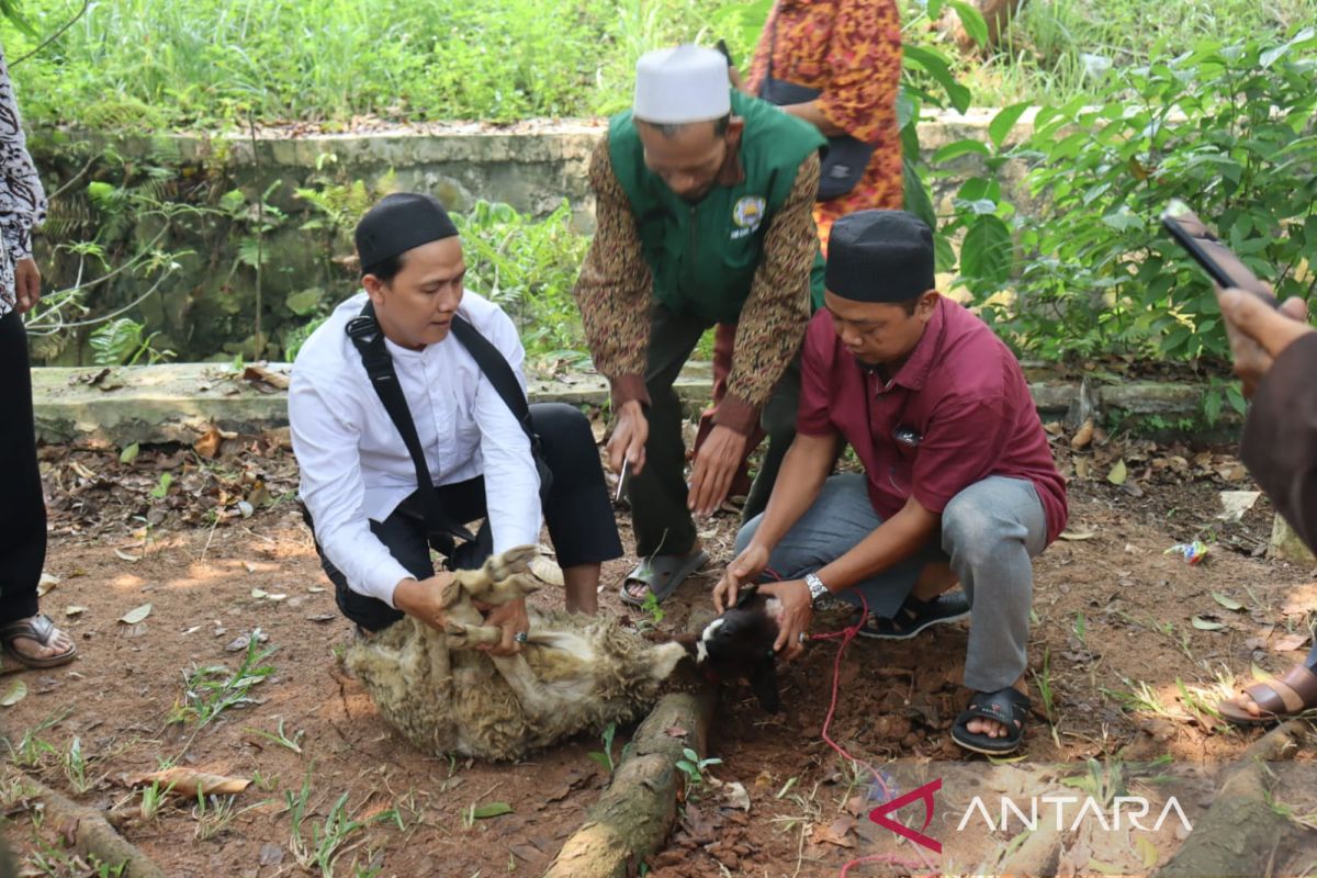 Pemerintah Kabupaten Tangerang sosialisasikan penanganan hewan kurban