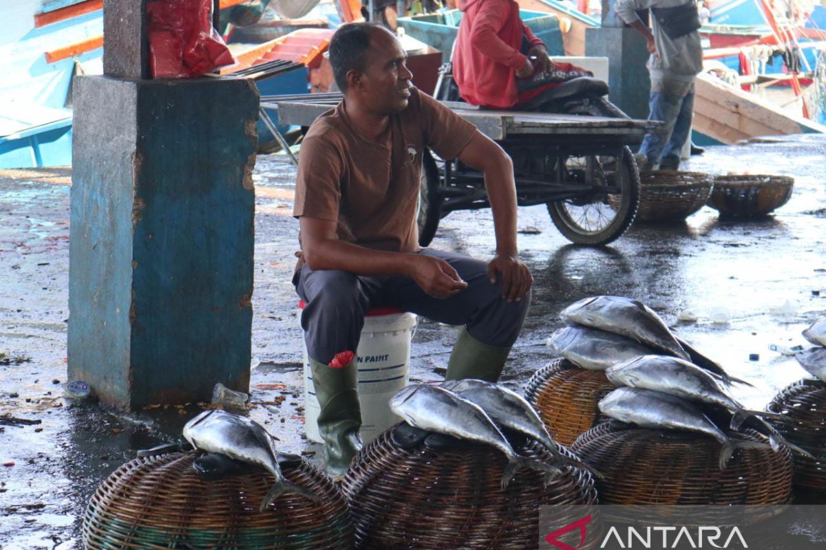 Harga ikan di Banda Aceh turun akibat hasil tangkapan melimpah
